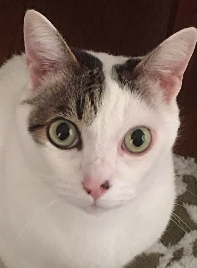 お話しお聞きします お悩み、吐き出し口がない心のモヤモヤここで晴らしましょう イメージ1