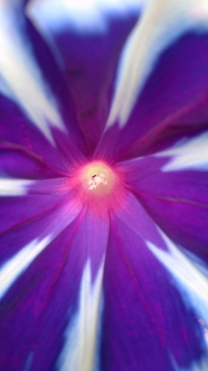 風景の写真を撮ります 最高の写真作品になるようにひとつひとつ心を込めて。 イメージ6