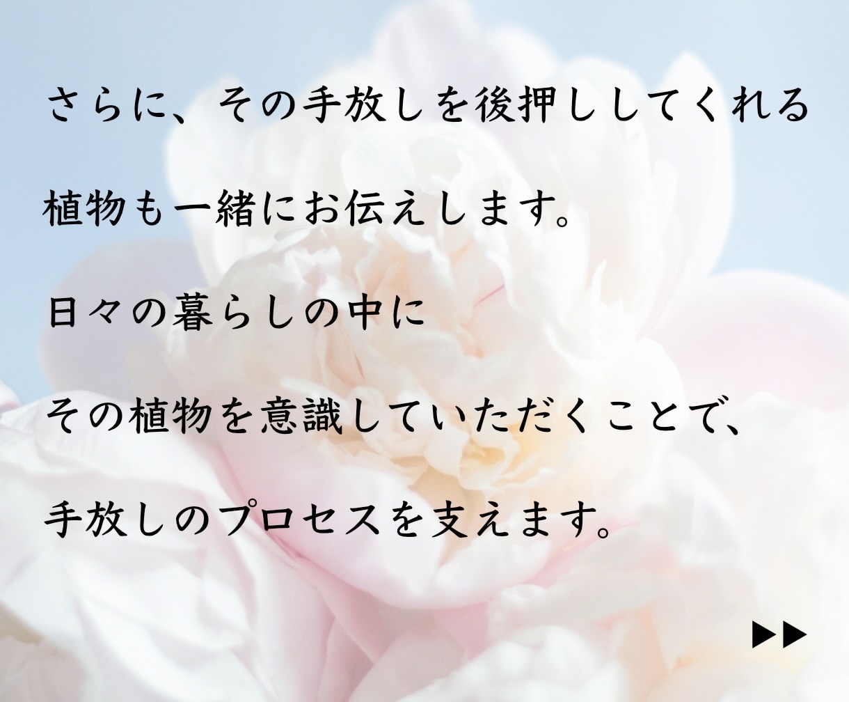 手放すものを占い【その先のあなた】を絵にします アートで視る✨手放した先の光✨植物と共に イメージ7