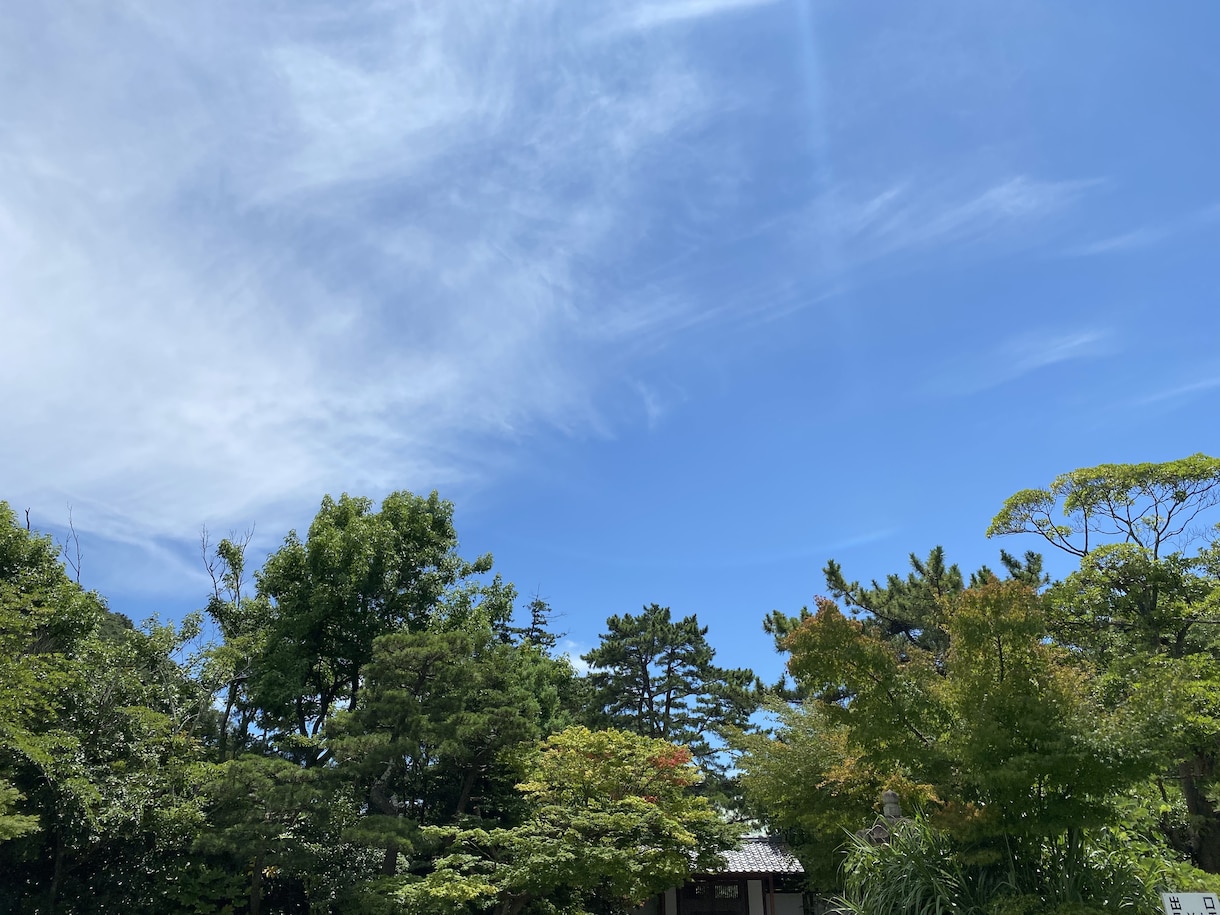 人間関係のご相談や愚痴聞き聞きます 人間関係の想いやご相談を看護師に話してみませんか? イメージ1