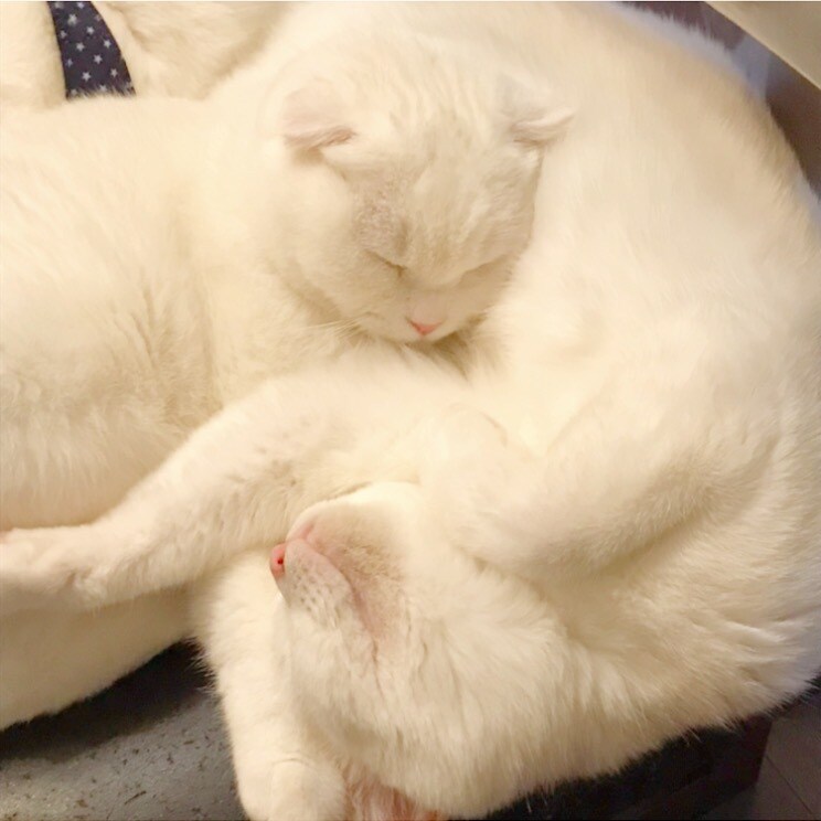 私にどーんと甘えてください！優しく受け止めます 大人でいることに疲れてしまったあなたへ。 イメージ4