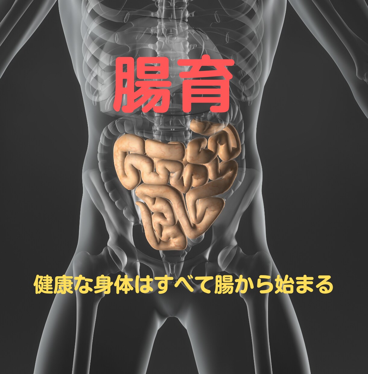 3週間で美しく"5kg"痩せる『腸育』を提案します 宿便を身体から排泄し、真の健康を自分自身で作りたい人限定！ イメージ1