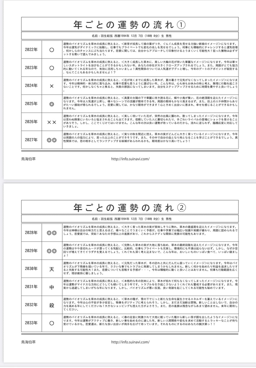 リピーター様専用‼️四柱推命鑑定書12枚作成します あなたの運命✨占いの帝王‼️生年月日から導かれる資質, 運勢 イメージ7