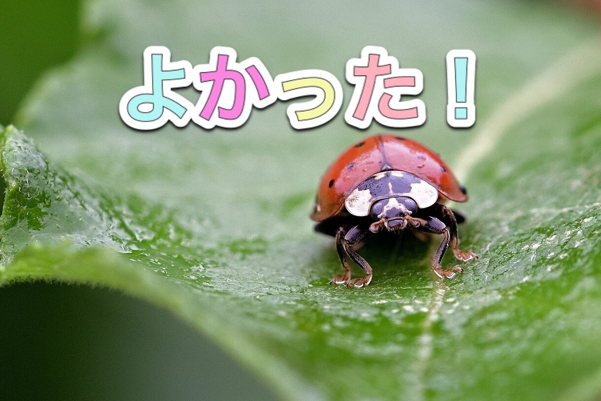 お試し1日@パニック障害の方のお出かけを支援します 怖いお出かけ時、トークルームでお話する事であなたを見守ります イメージ4