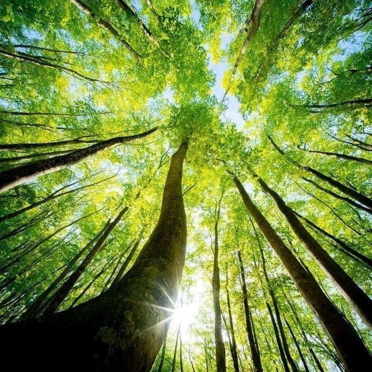 使命鑑定｜霊視であなたに下された天命を代弁します あなたの魂に刻まれた使命を読み、唯一無二の幸福な未来を イメージ8