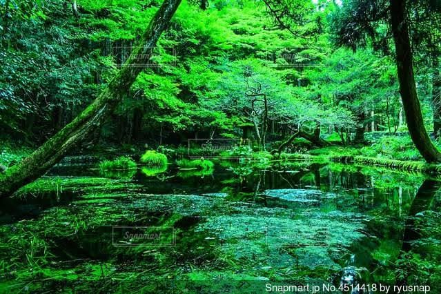 新たな道を切り開く勇気や可能性をイメージしています 生年月日、個人の名前で占います。 イメージ2