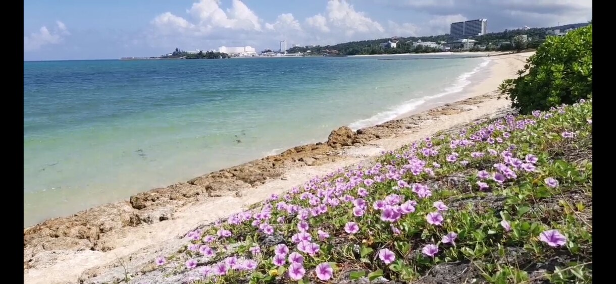 沖縄に行きたい！そんなあなたに雑談回線ご用意します 沖縄在住１児のパパが沖縄の雰囲気届けます。 イメージ4