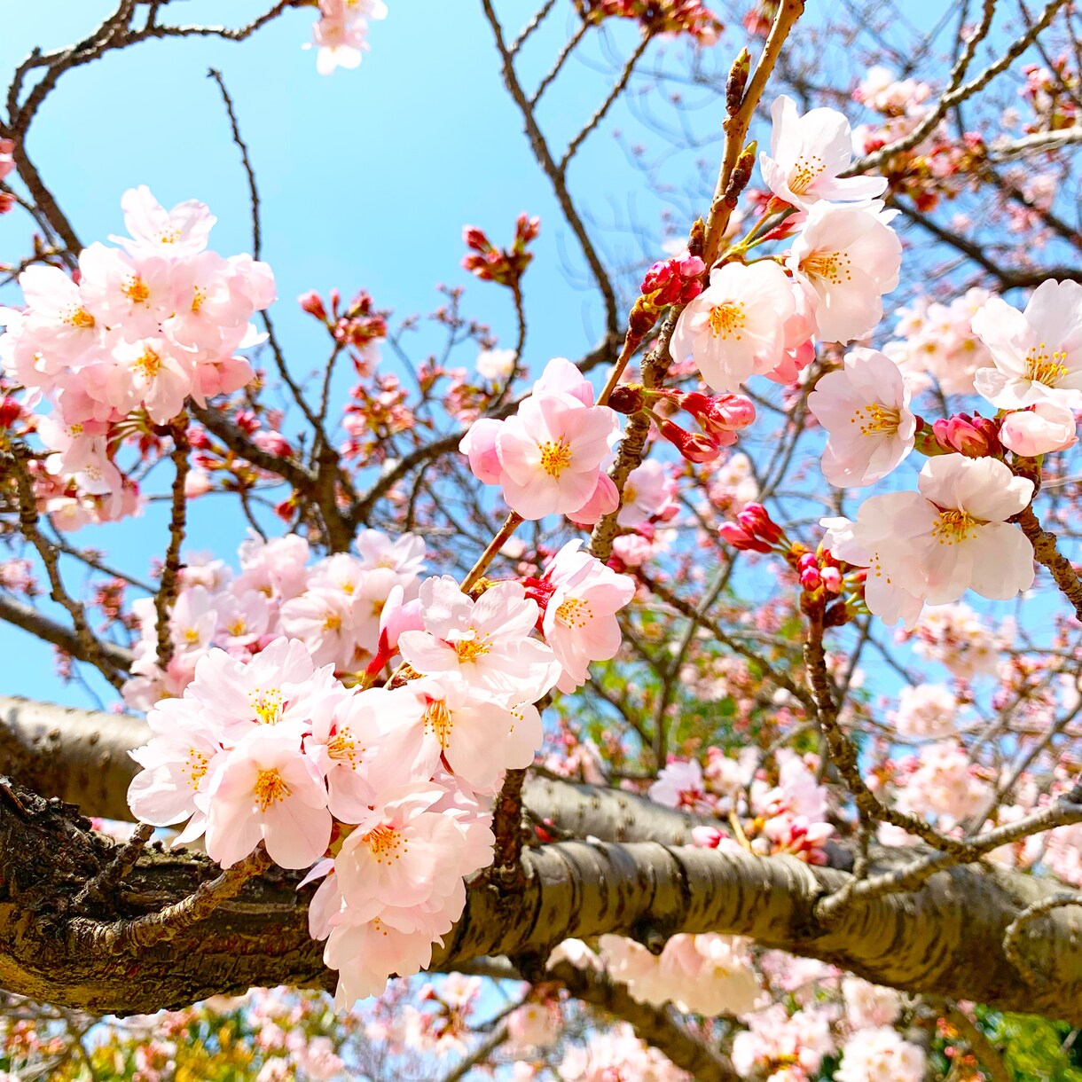 人には言いにくいあなたの自慢話とことん聞きます 自慢したいけど最適な知り合いがいない…そんな時ありますよね イメージ10