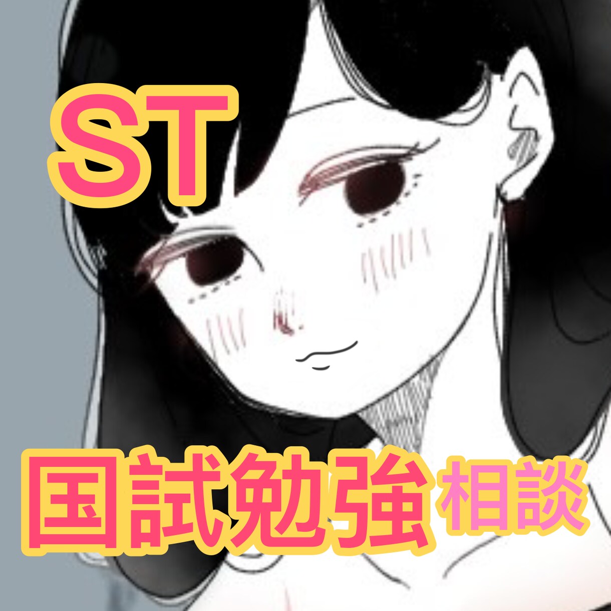 現役言語聴覚士が国試の勉強法教えます 2ヶ月で40点上げて合格したSTが貴方のお手伝い！ イメージ1