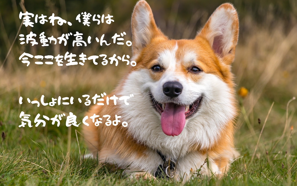 同じ悩みで堂々巡り/心が軽くなるまでお聴きします /繰り返すモヤモヤ/気が済むまで/全部吐き出して/整理しよう イメージ6