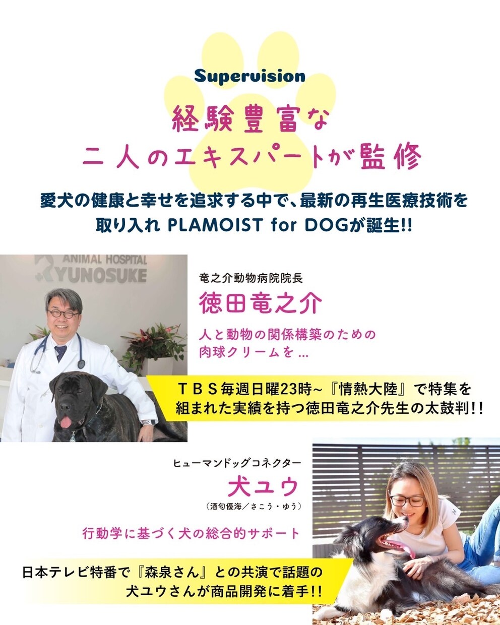 犬のプロがペットビジネスの成功をサポートします 監修、イメージ写真の撮影、PR、新規サービスの相談など イメージ4