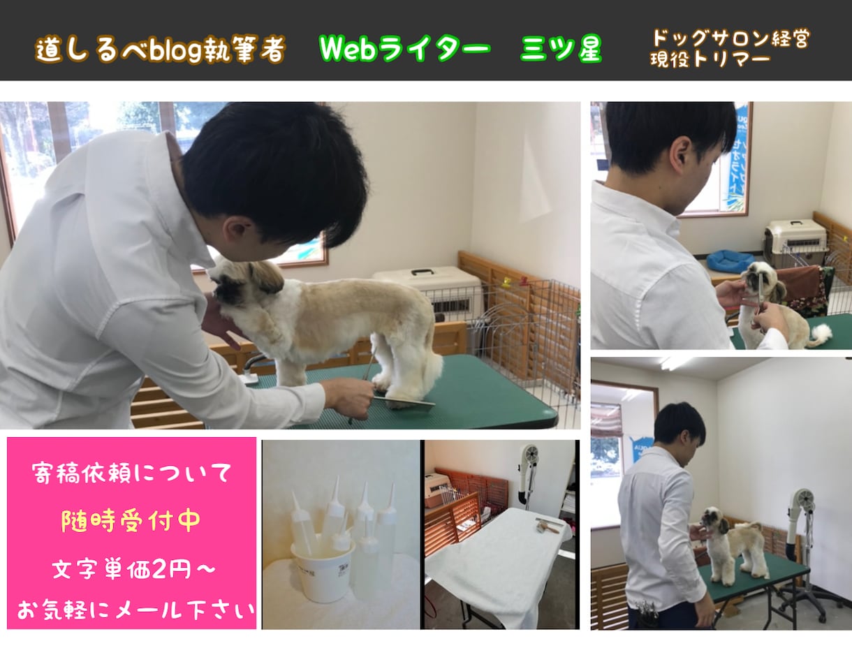 トリマー監修！専門性の高いコラム記事を執筆します ドッグサロン経営者のコラム記事 イメージ2