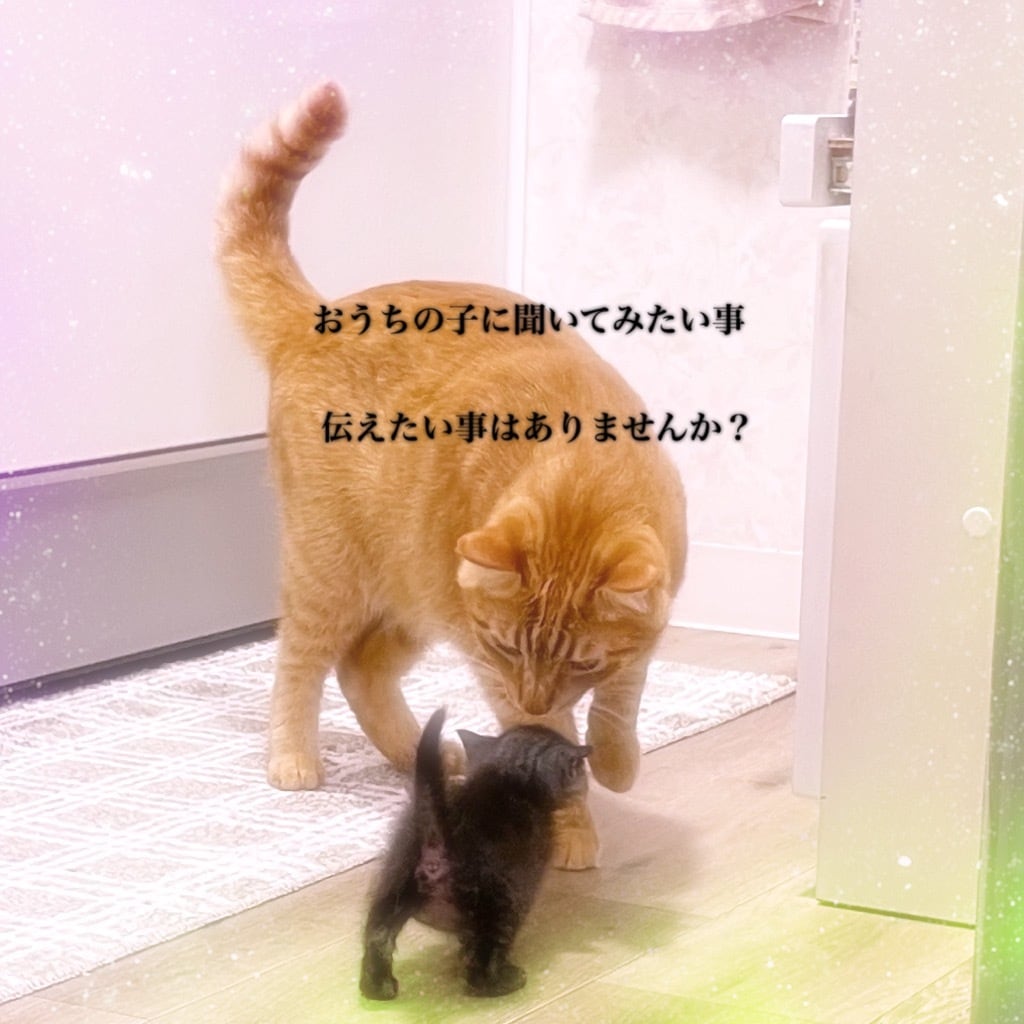 ペットさんの通院理由説明致します おうちの動物さんに通院理由説明を致します。 イメージ1