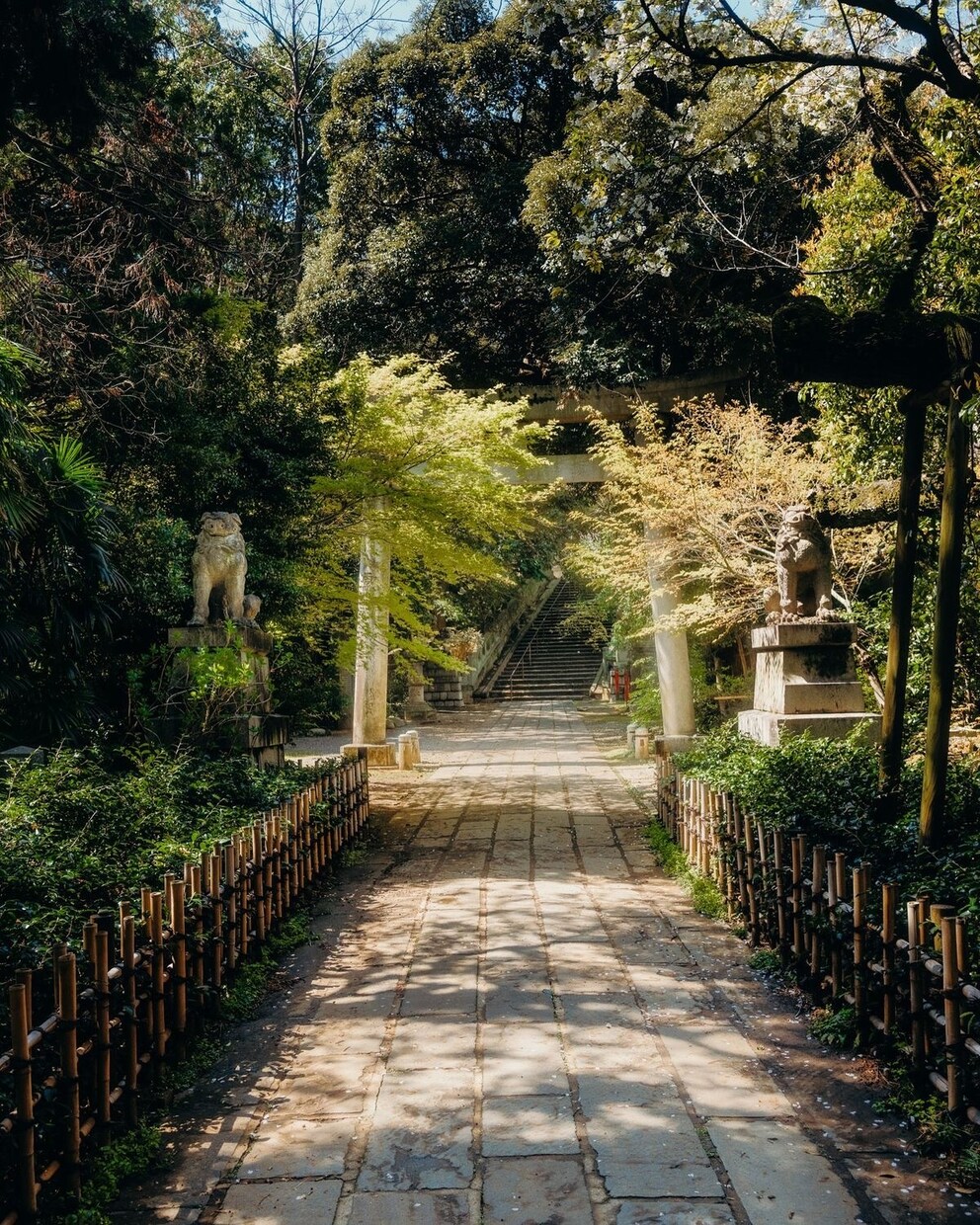 どんな悩みに対しても最善の未来へ進む答えを授けます 【原因は一つではない】全ての流れを解明し好転の道を示します イメージ5