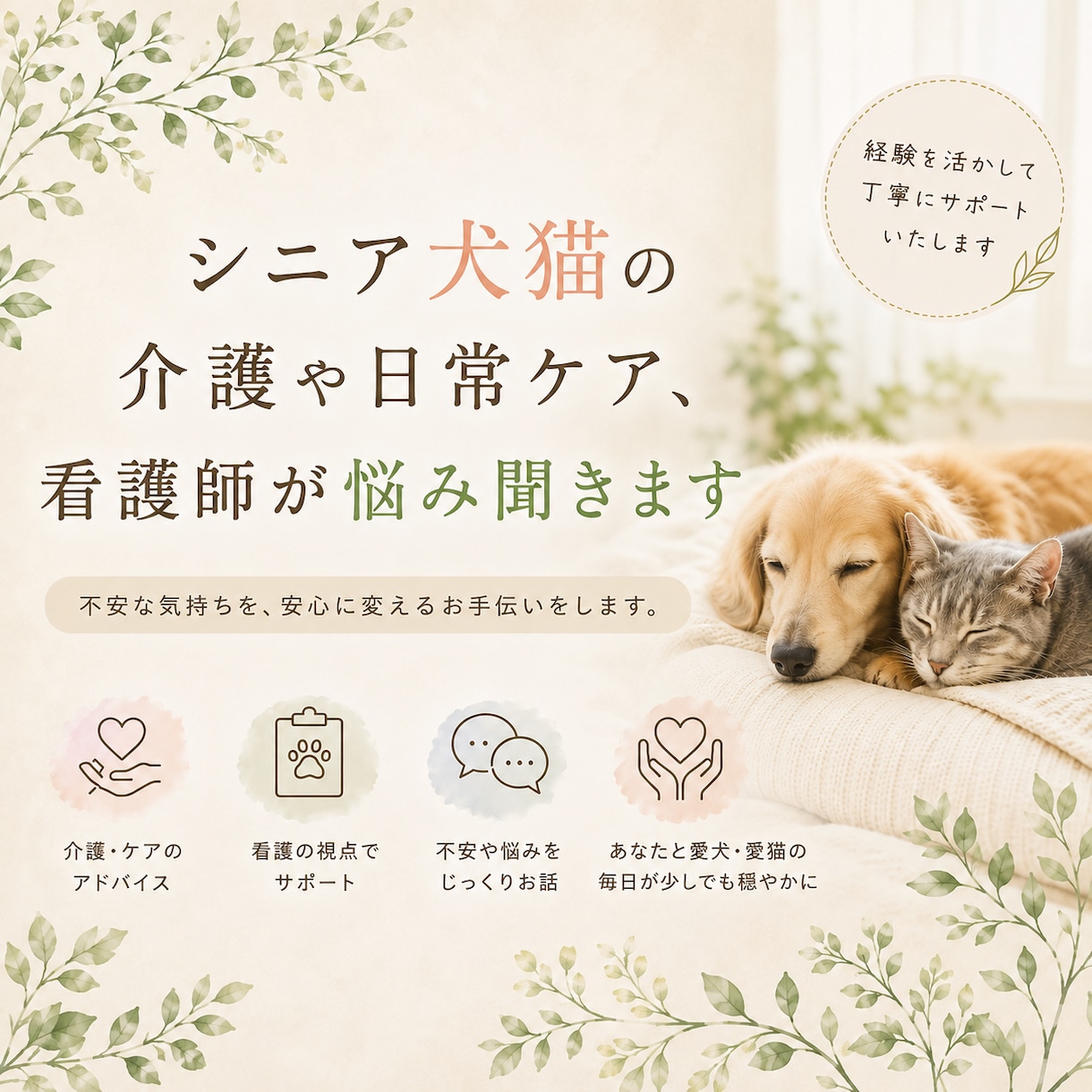 シニア犬猫の介護や日常ケア、看護師が悩み聞きます 老犬老猫の毎日のケア、動物看護師と一緒に考えてみませんか？ イメージ1