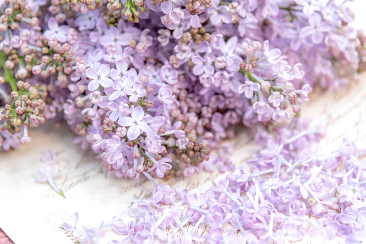 ライン感覚❀気軽に話そ♪あなたの心ほぐします 電話は違うかなぁ…でも誰かと繋がりたい。そんなあなたにも❀ イメージ8