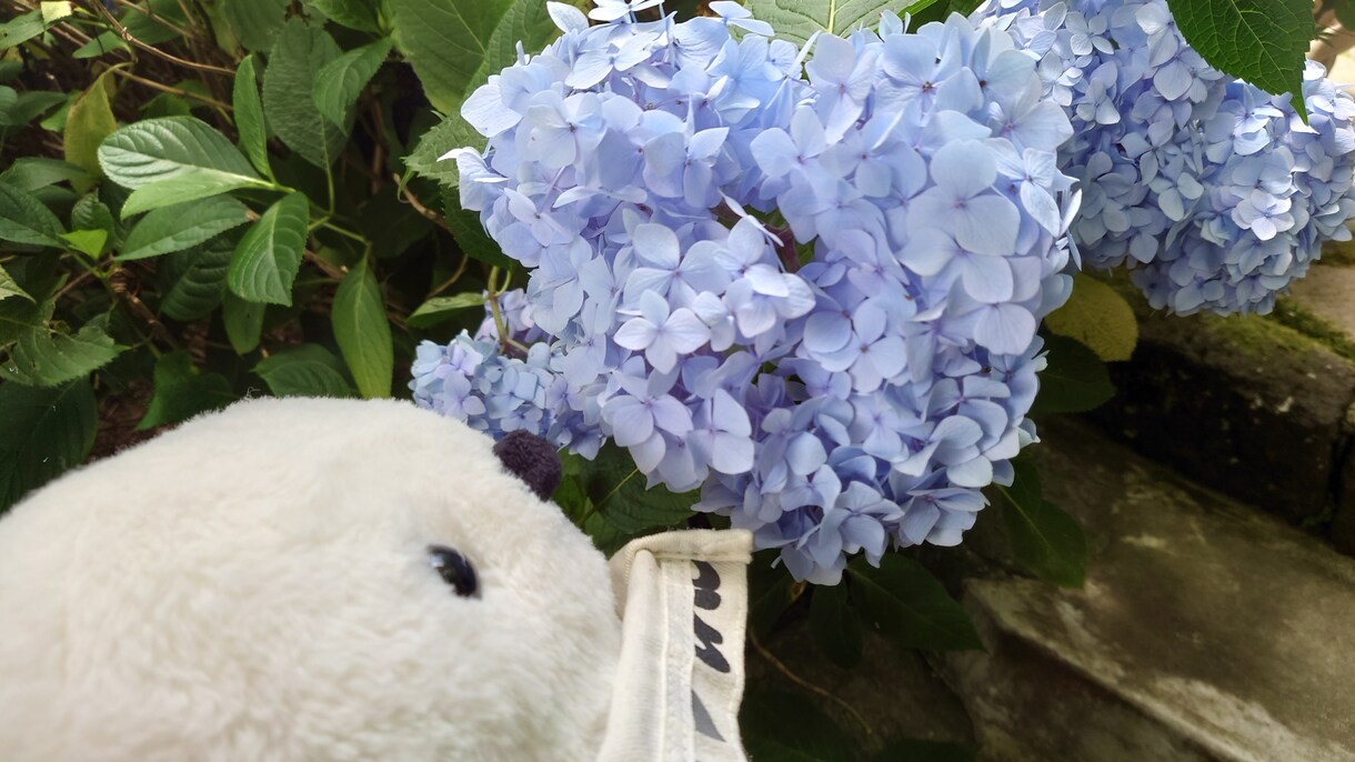 今すぐOK♥️アナタの嬉しい気持ちをシェアします 小さな幸せを今すぐ共有シマしょ♥️ イメージ5