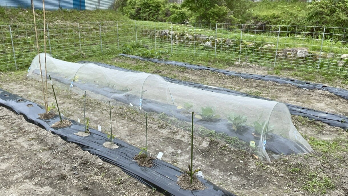初回限定価格　体験談から移住の不安に答えします 移住に興味ある方へ、体験談を交え疑問や不安を丁寧にサポート イメージ3