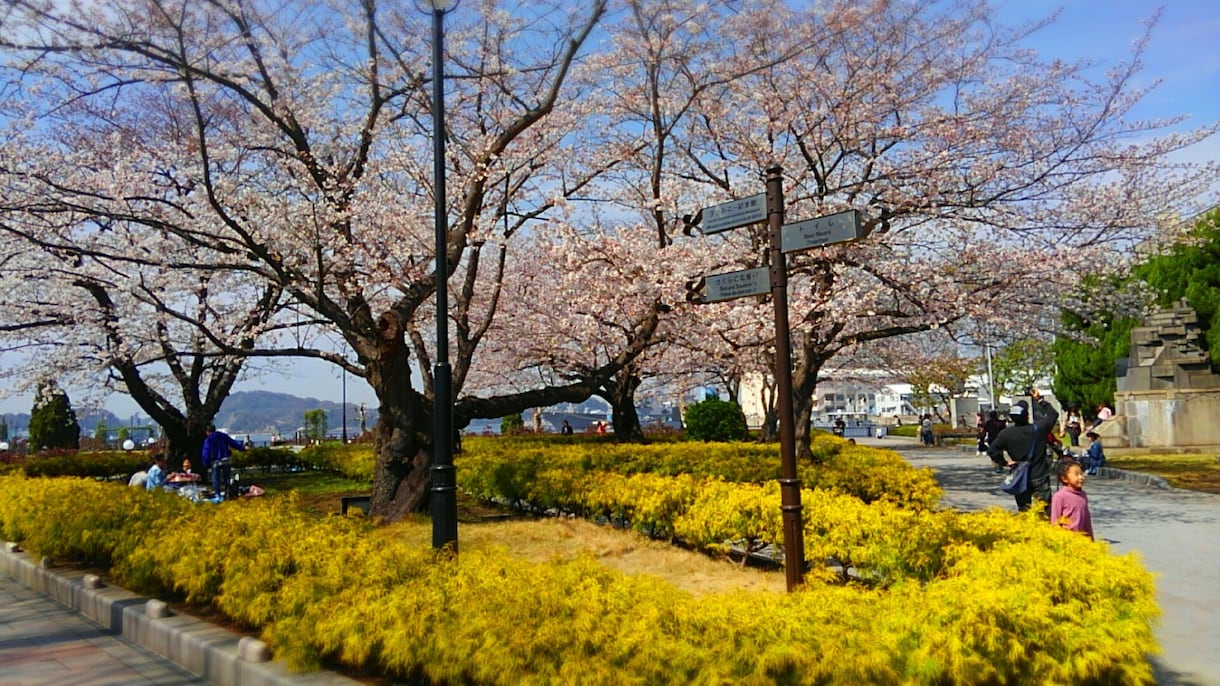 あなたにぴったりの花言葉探します 自分を代表する花や友達におくる花言葉などを考えたい方向け イメージ1