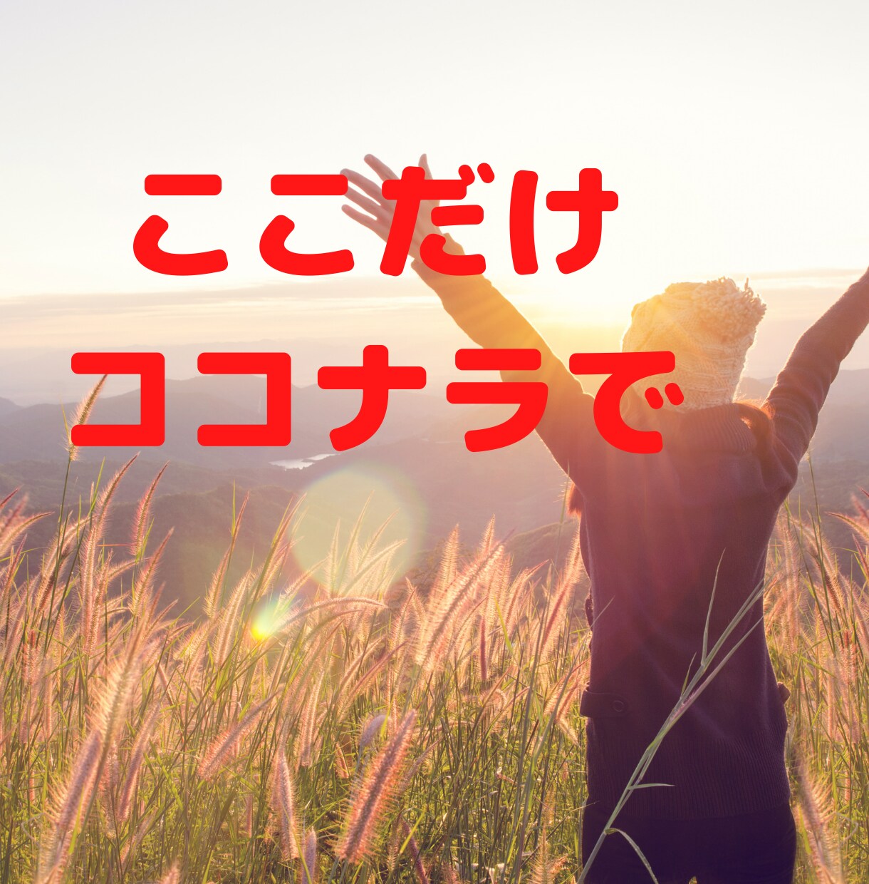 売上アップに悩む起業家のセールスの相談にのります 現役経営者で元リゾートホテルのトップセールスがあなたを救う！ イメージ5