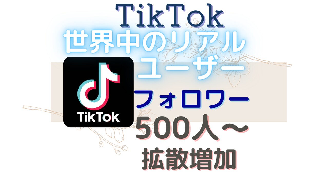 TikTokのリアルなフォロワーを増やします 全世界のリアルユーザーへアプローチ！フォロワー500人～増加 イメージ1