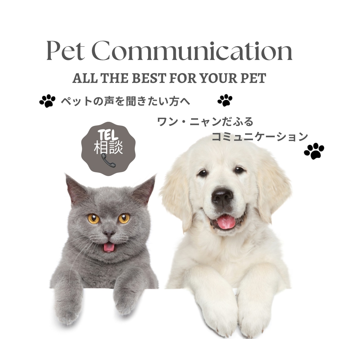 電話相談。ペットの声を聞き届けます どんな動物でもOKです。お空の子もお話しできます。 イメージ1