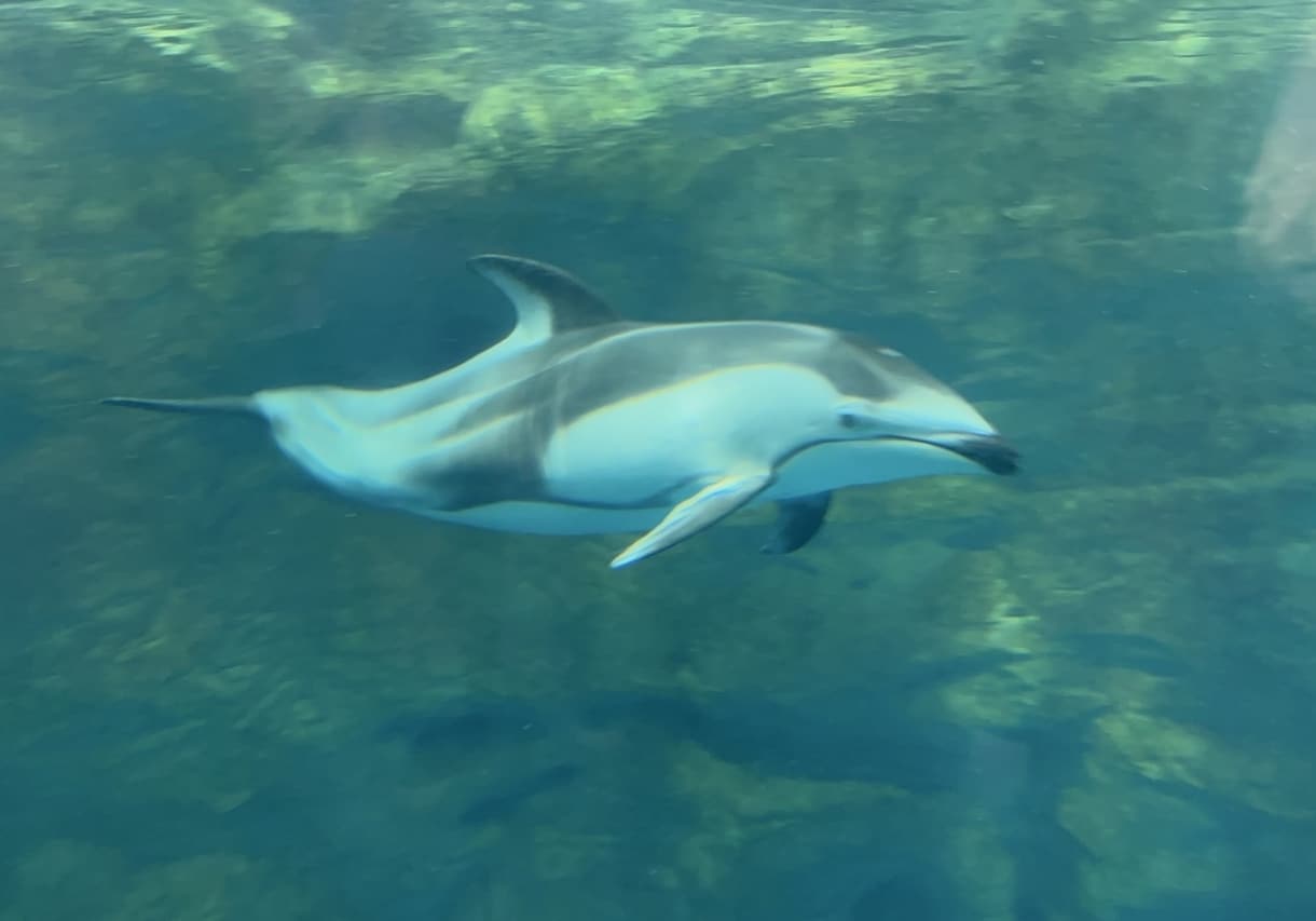 現役カウンセラーが守秘義務厳守で寄り添います 人間関係・恋愛・仕事の愚痴、悩み、不安から雑談まで何でもOK イメージ8