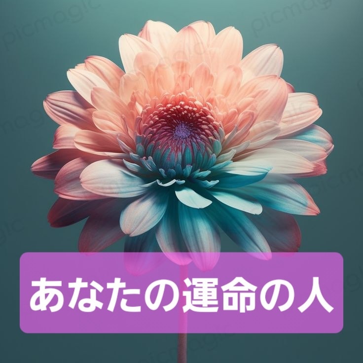 タロット占い あなたの運命の人…鑑定します 二番人気☆運命の人とは、いつ会える？どんな人なの？… イメージ1
