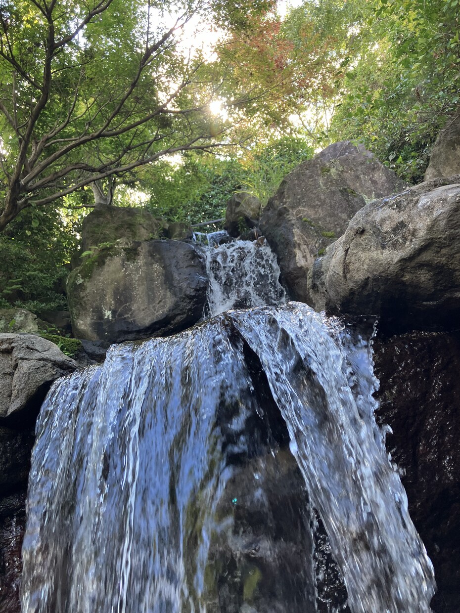 恋愛、愚痴、仕事や家庭の悩み、もやもや聴きます どうでもいい話から真剣なお話まで…お話聞きます イメージ2