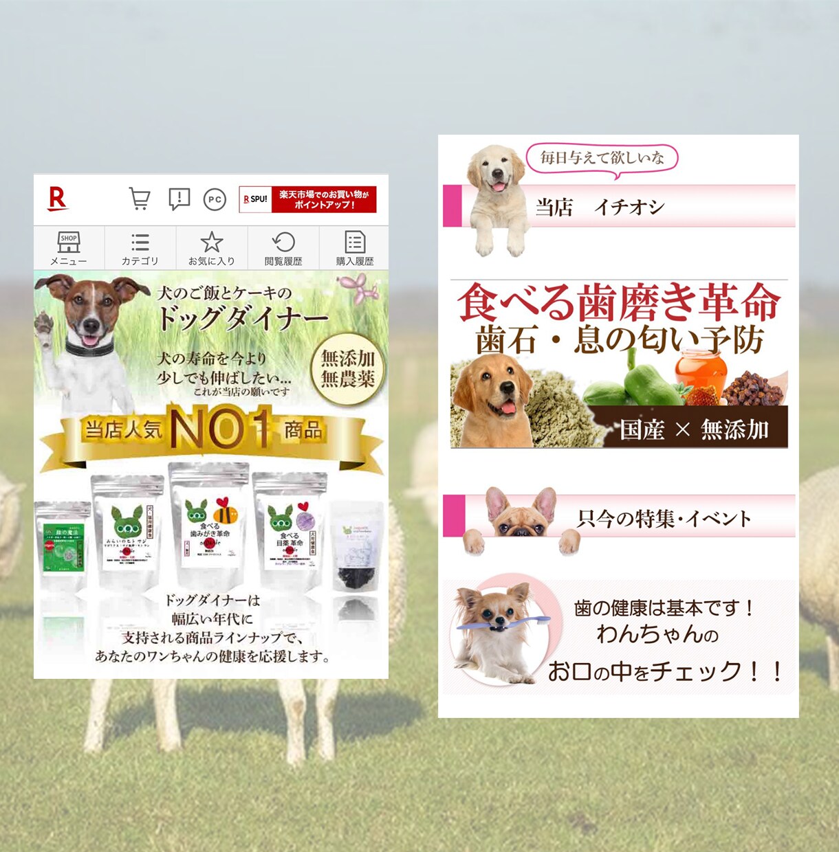 ネットショップ出店・開業のお手伝いをいたします ECショップ　楽天　YAHOO　Wowma　初期商品登録 イメージ4