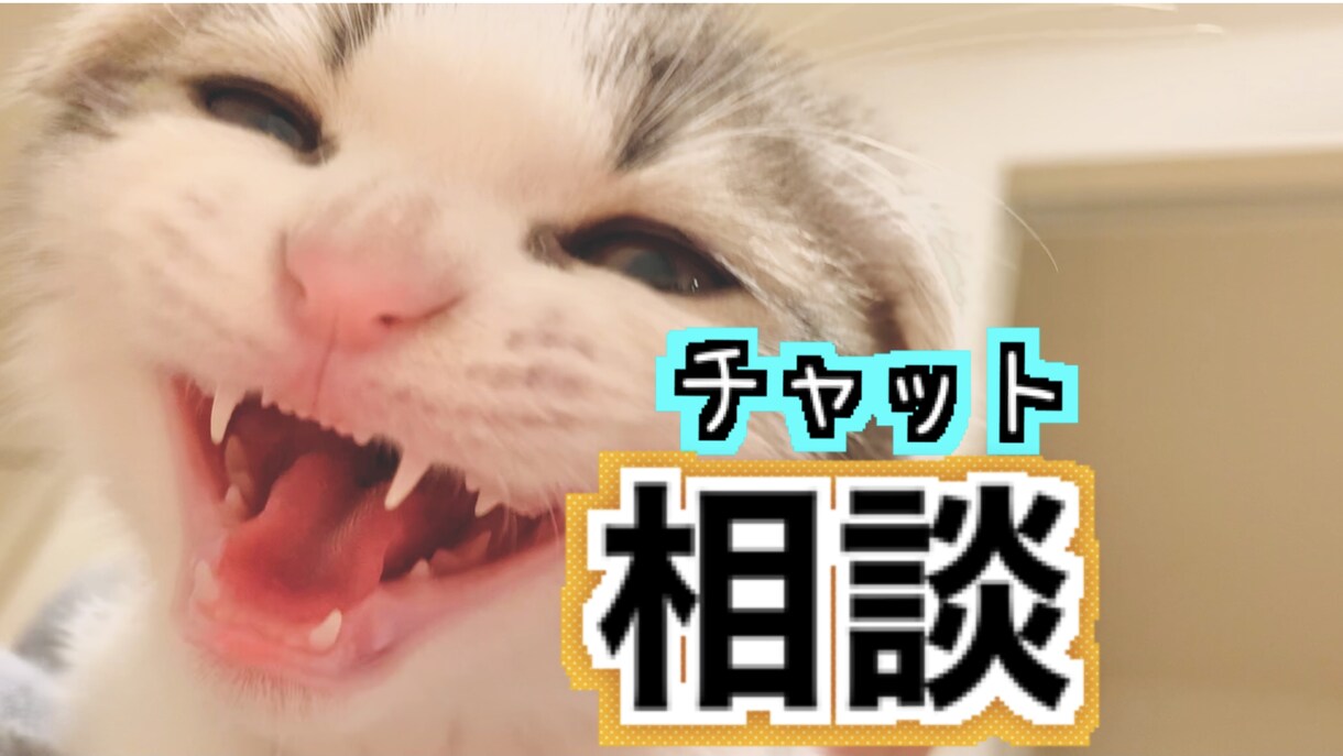 みっちり30分！【チャット相談】お話し聞きます 心に溜まった気持ちを吐き出してくださいね♪ イメージ1