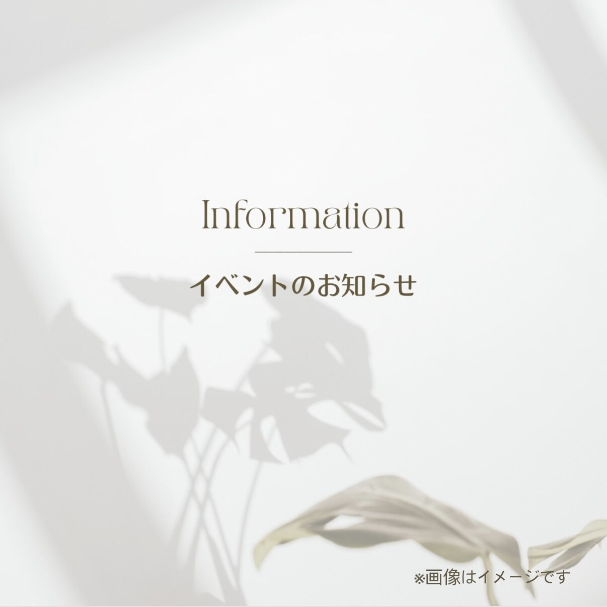 Instagram投稿画像を作成します シンプルでわかりやすい画像を作ります♪ イメージ3