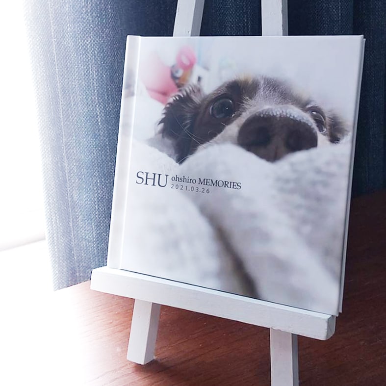 犬好きの方へ！写真アルバム製作します 小さめアルバム！とてもお得にわんちゃんのアルバム制作します♪ イメージ1