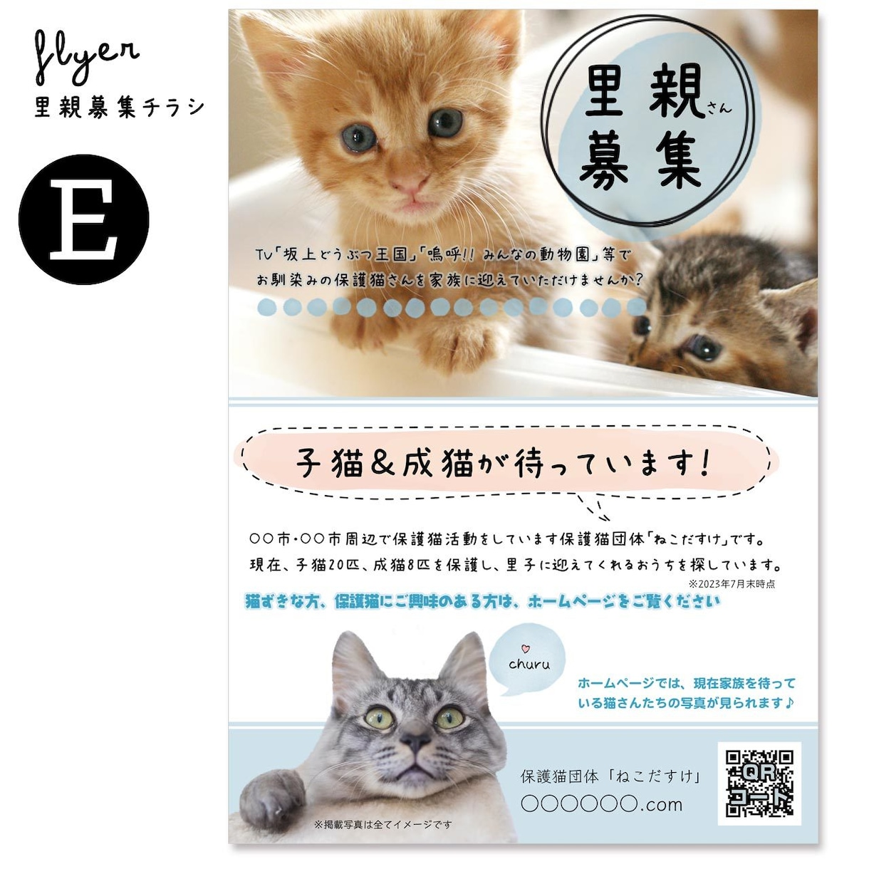 里親募集チラシ（保護団体さま用）をお作りします 保護猫･保護犬活動を広くお知らせしましょう！ イメージ7