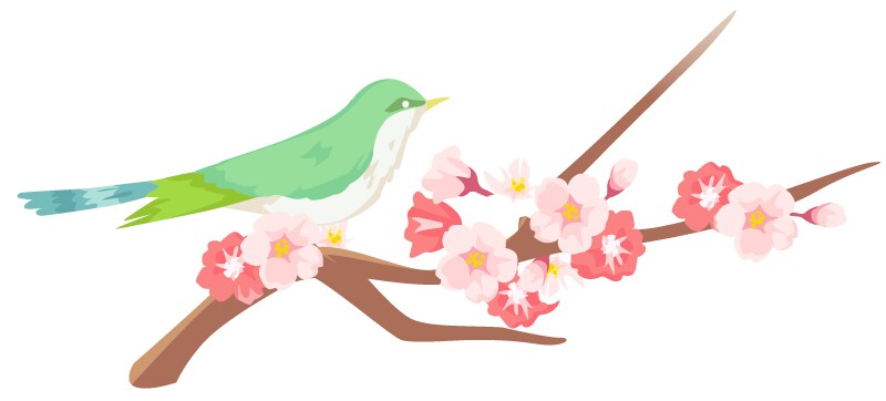 ☆ イメージ1