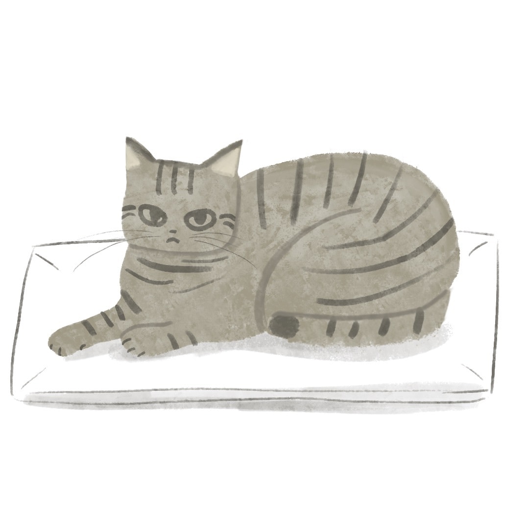 大切なペットのイラスト描きます ペットを飼っている人へのプレゼントや、記念や思い出に イメージ3