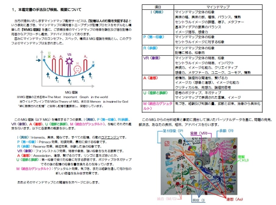 あなたのマインドマップ添削改善アドバイスいたします 世界的マインドマッパーのノウハウをあなたのＭＩＮＤへ イメージ4