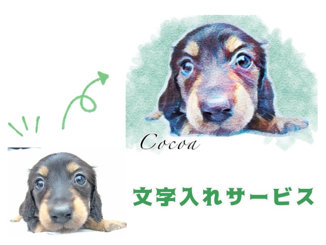 パステル画風ペットの似顔絵や名刺デザイン承ります パステル画風にショップカードや名刺などにも！商用OK！即納！ イメージ2