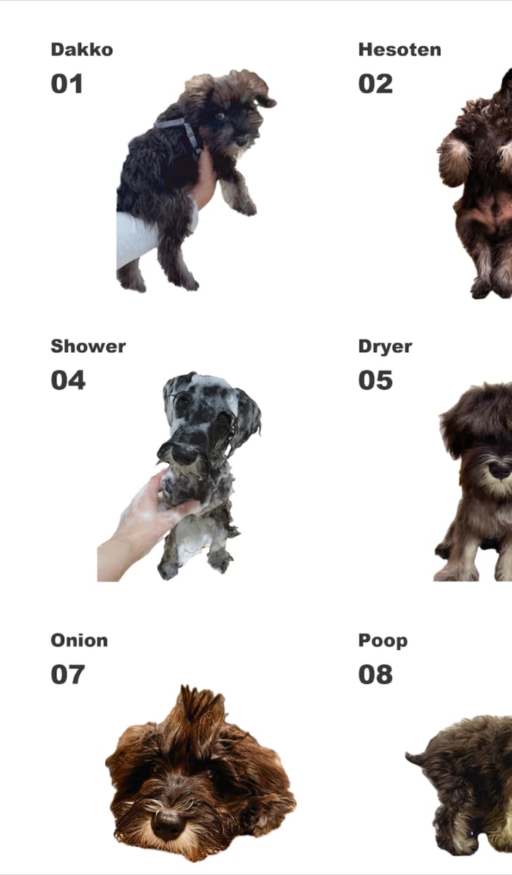 愛犬・猫のオリジナルTシャツをつくります 世界に一つだけのうちの子Tシャツ♪ イメージ3