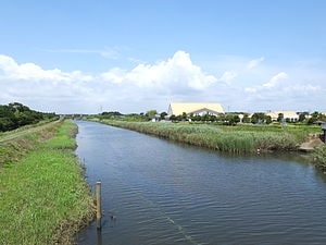 うつ病、アルコール依存症の相談乗ります アルコール、うつ病からの解放を求めて イメージ2