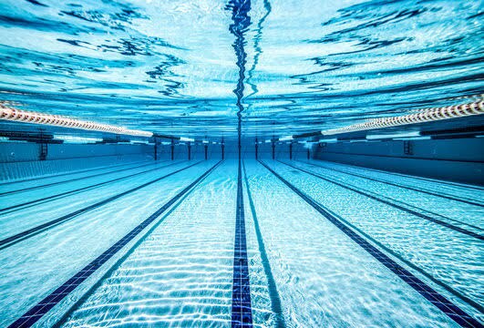 あなただけの水泳メニューを提供します 目的にあった内容で飽きずに泳いでみませんか？ イメージ6
