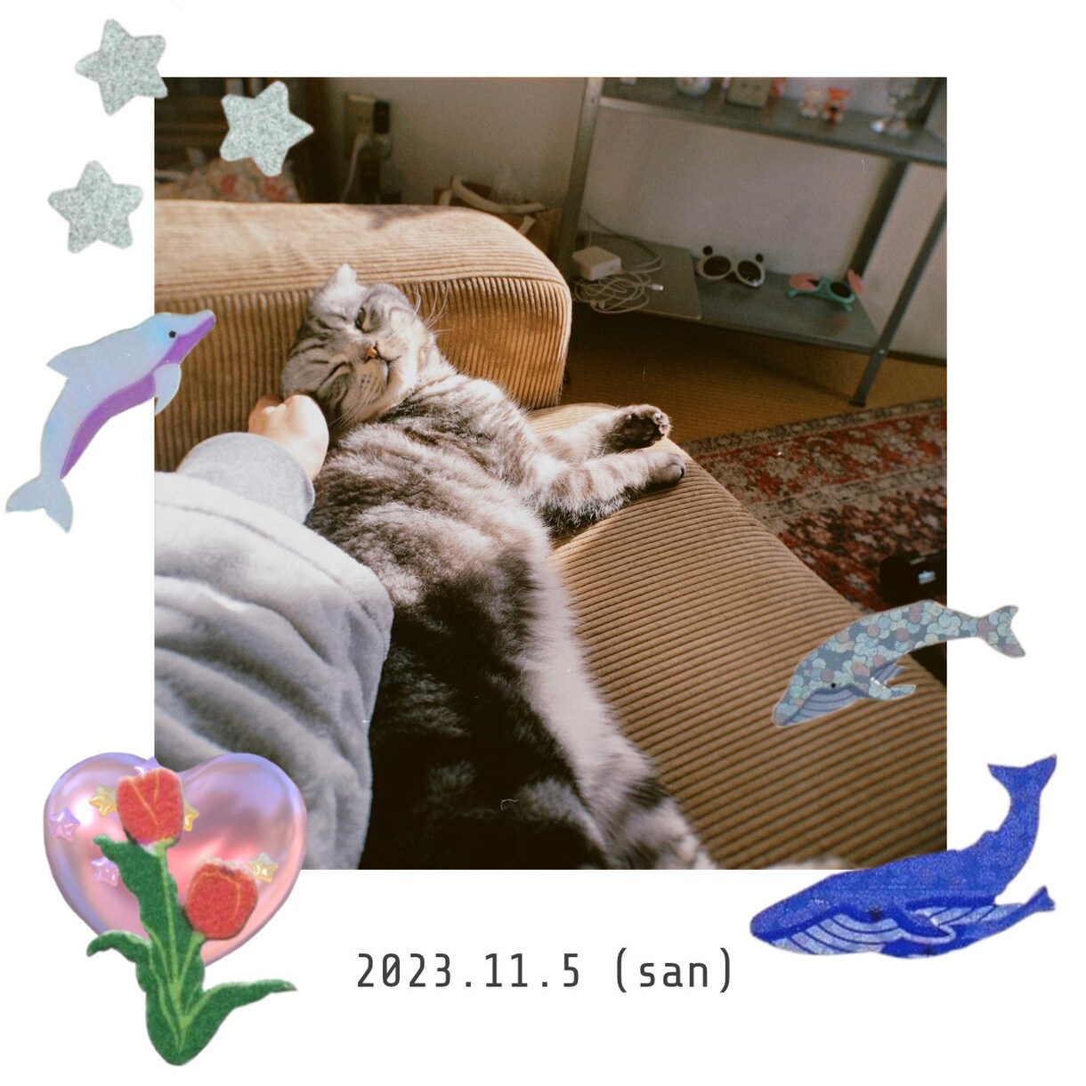 ペットの写真デザインします ペットの写真をデザインしてアイコンやグッズに！ イメージ3