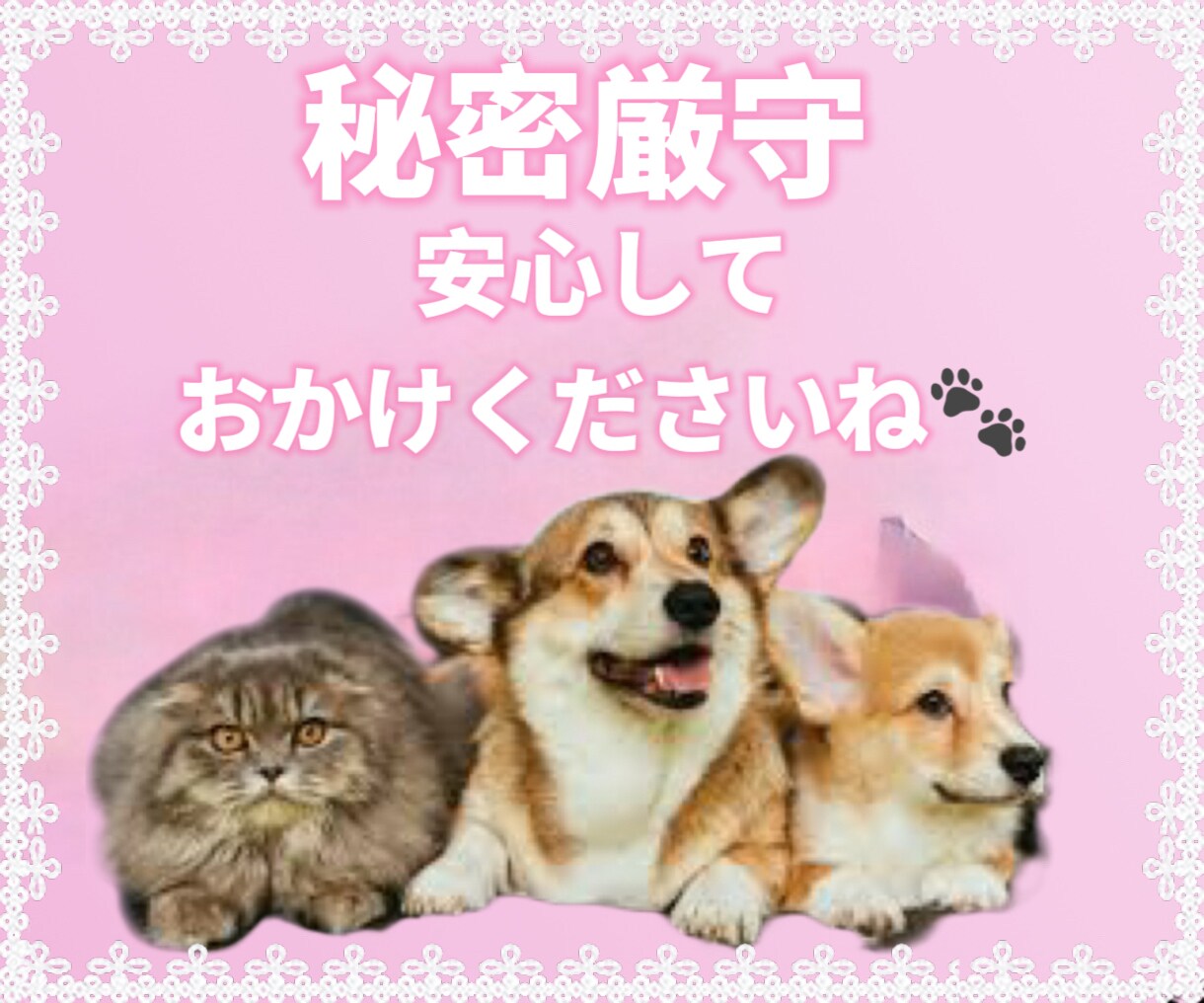 ペットロス大切な家族を亡くした悲しみを共に抱えます ペットロス/喪失感/犬/猫/動物/家族/ペット/別れ/死 イメージ4