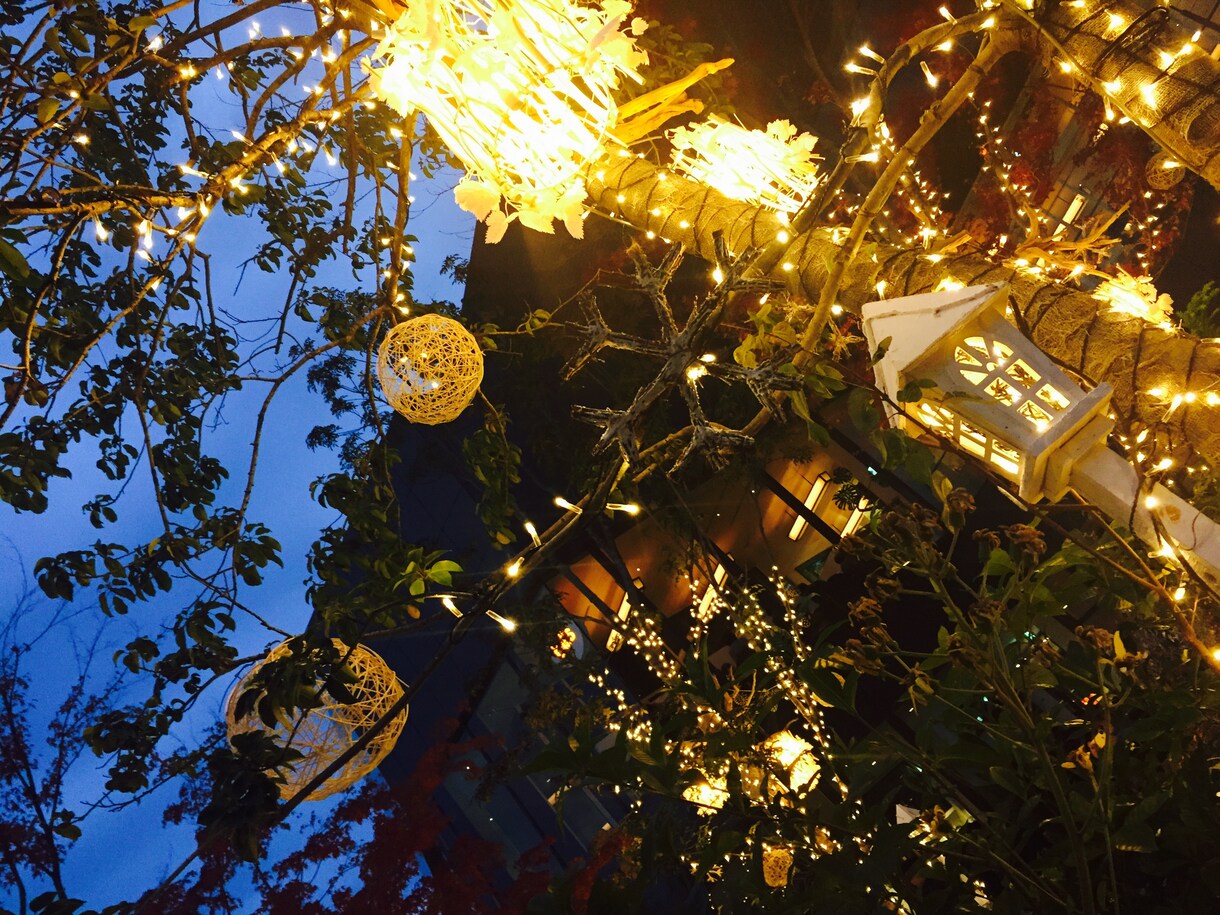 クリスマスまでに恋人ができるか鑑定します ［即日回答‼︎］クリスマスに1人なんて嫌という方はぜひ イメージ1