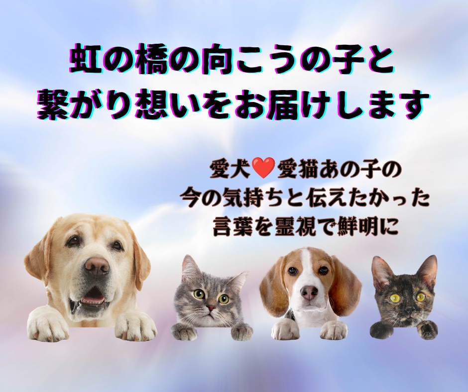 虹の橋の向こうの子と繋がり想いをお届けしますます 愛犬❤愛猫あの子の今の気持ちと伝えたかった言葉を霊視で鮮明に イメージ1