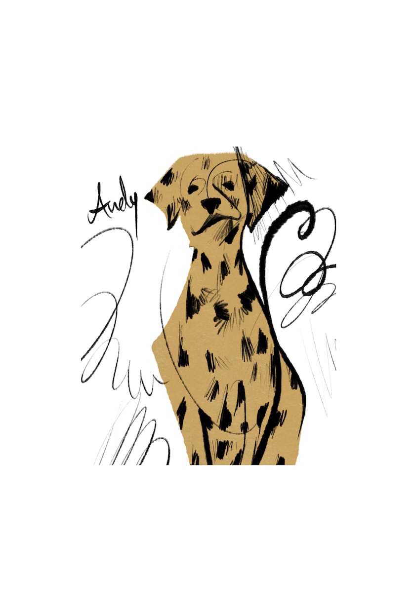 モードにオリジナティ溢れるイラスト作成します 人物、動物、その他様々なモチーフお気軽にご相談ください！ イメージ1