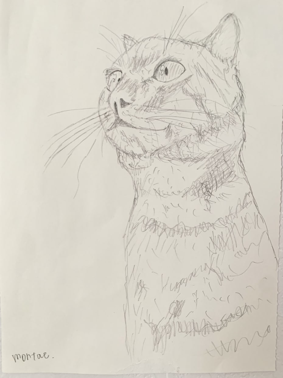 あなたのペットのイラスト描きます あなたのペットのステキなお写真をスケッチイラストに イメージ2