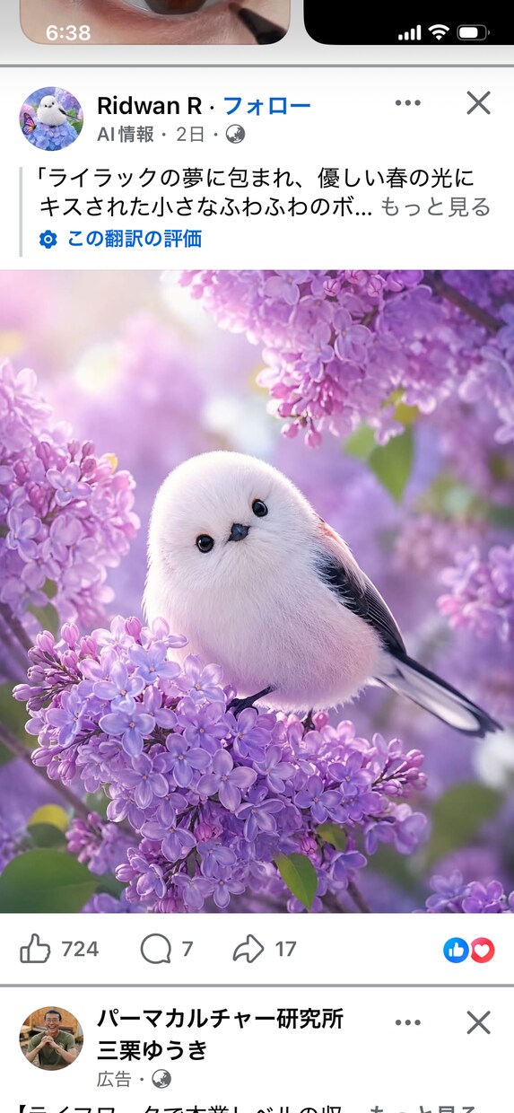 あなたの愛くるしいペット自慢聴きます かわいい、かわいいあなたのペットの癒しを聴かせてください。 イメージ6
