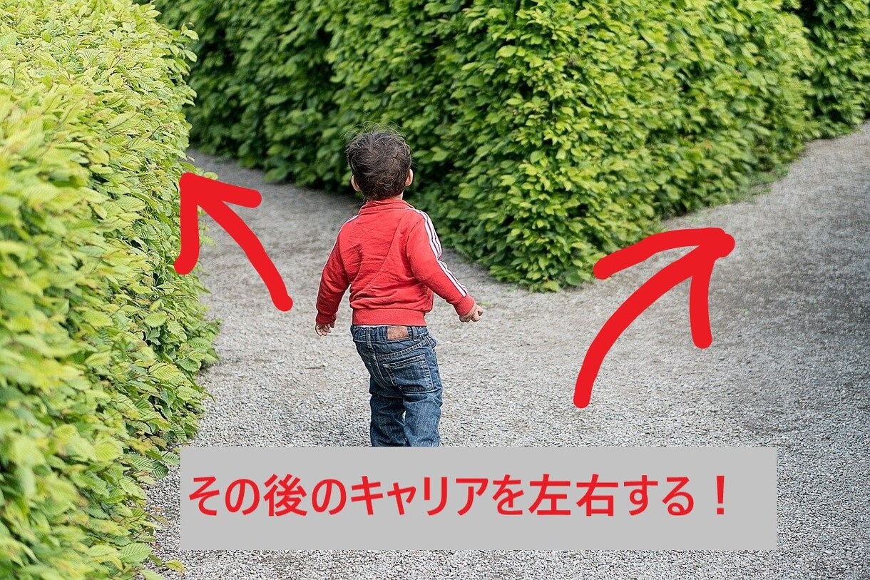はじめての転職、徹底分析します はじめての転職がその後のキャリアを決定づけます。 イメージ2