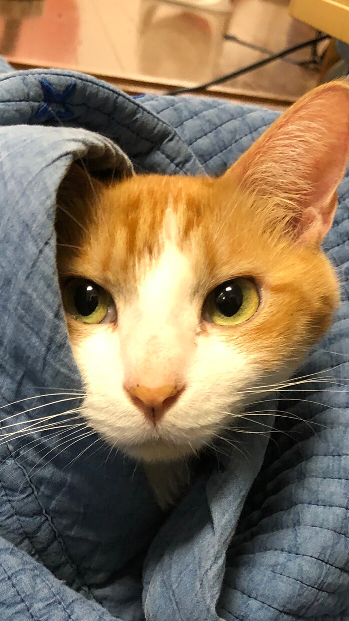 どんなあなたも受け止めます ！モヤモヤする時、言葉のキャッチボールでスッキリしませんか？ イメージ5